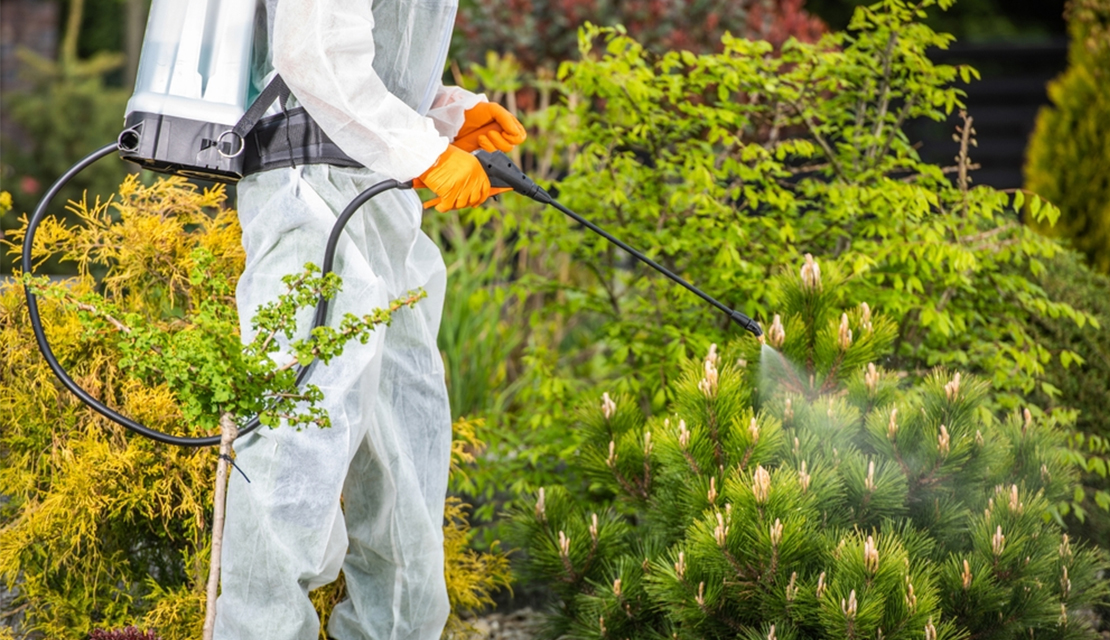 Pest Control Service in Melbourne